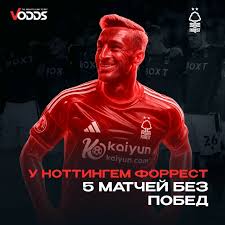 Онлайн-ставки на крикет Як фільтрувати інформацію для успішної гри